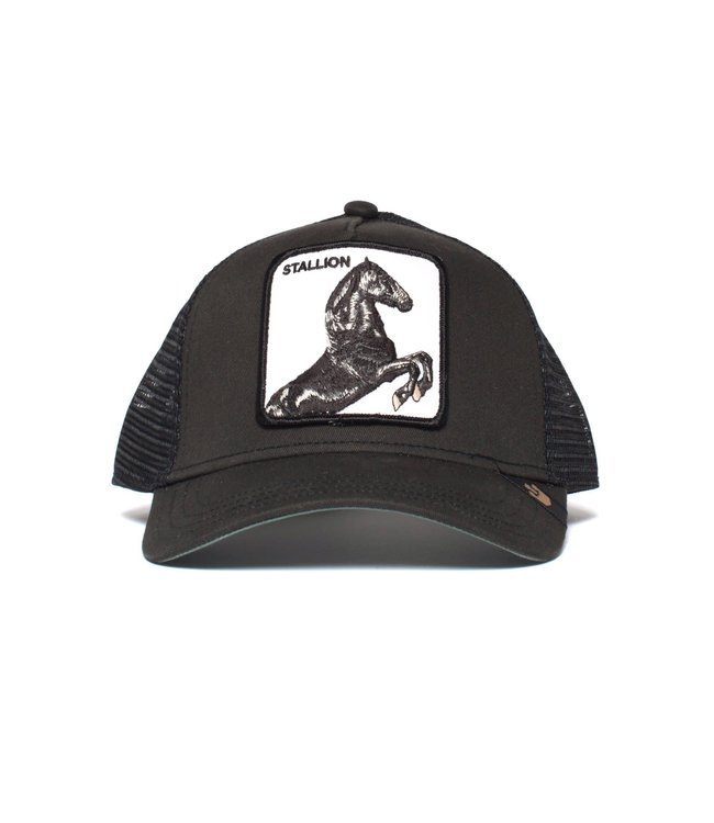 Goorin Bro's Hats The Stallion Hat -