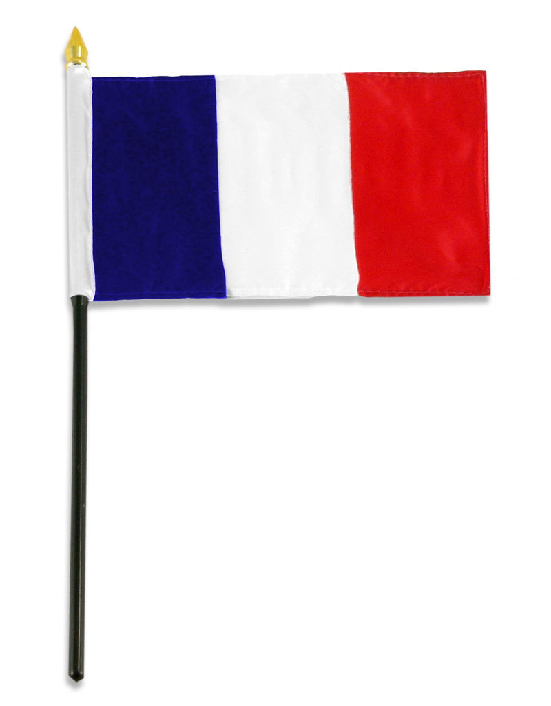 Stick Flag 4"x6" - France