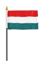 Stick Flag 4"x6" - Hungary