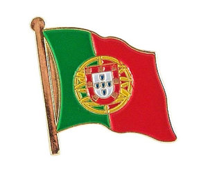 Pin em Portugal