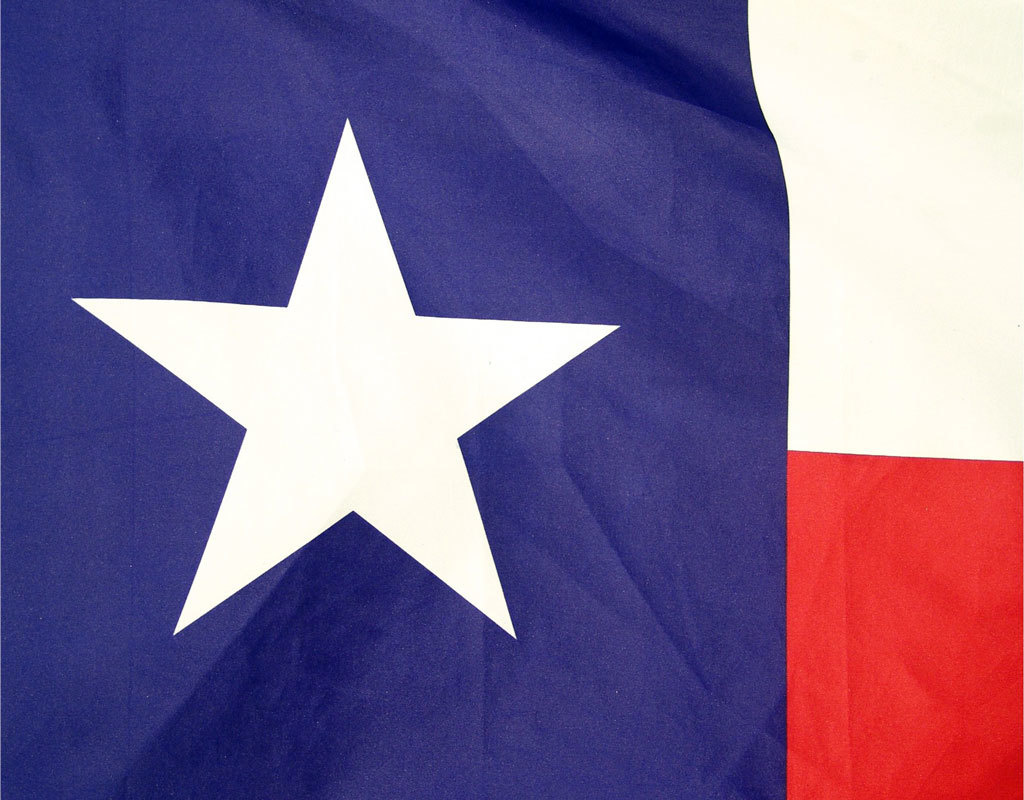 Flag - Texas 3'x5'