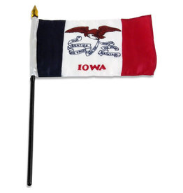 Stick Flag 4"x6" - Iowa