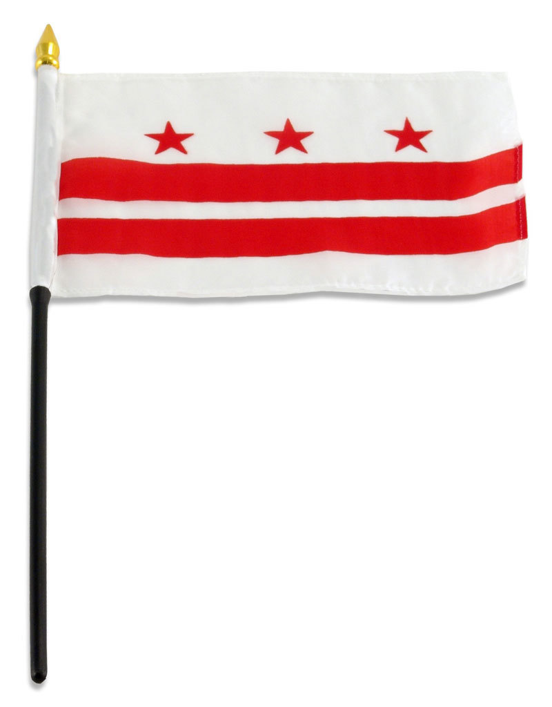 Stick Flag 4"x6" - Washington DC