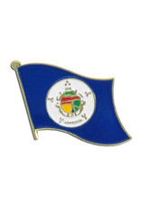 Lapel Pin - Minnesota Flag