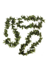 FUN EXPRESS Lei - Tropical Fern Leaf