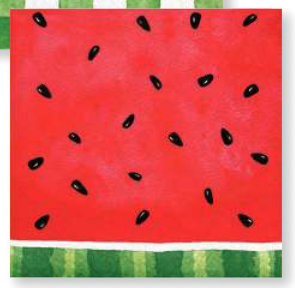 Creative Converting - Holiday Watermelon Check - Beverage Napkin