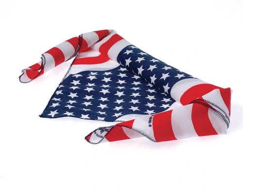 US Toy Patriotic Bandanna