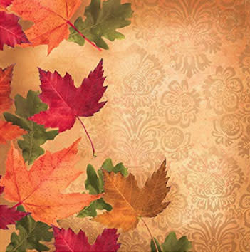 Creative Converting Autumn Elegance Lunch Napkins