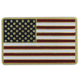 Online Stores Lapel Pin - USA  Flag - Gold