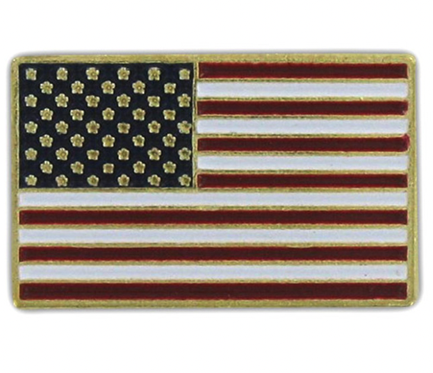 Online Stores Lapel Pin - USA  Flag - Gold