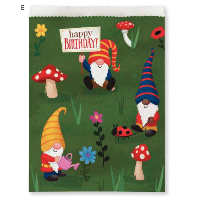 Creative Converting Party Gnomes Treat Bags (YARD SALE)