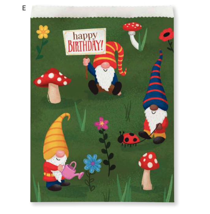 Creative Converting Party Gnomes Treat Bags