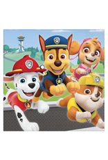 Paw Patrol™ Adventures Luncheon Napkins