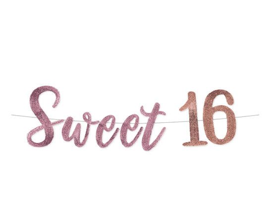 Sweet Sixteen Sequin Banner