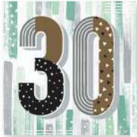 Creative Converting Minted Milestone - Lunch Napkins - 30