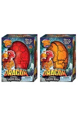Kelli's Gifts Dragon Mystery Grow Egg