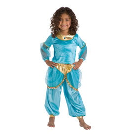 Little Adventures Arabian Princess Dress - XL
