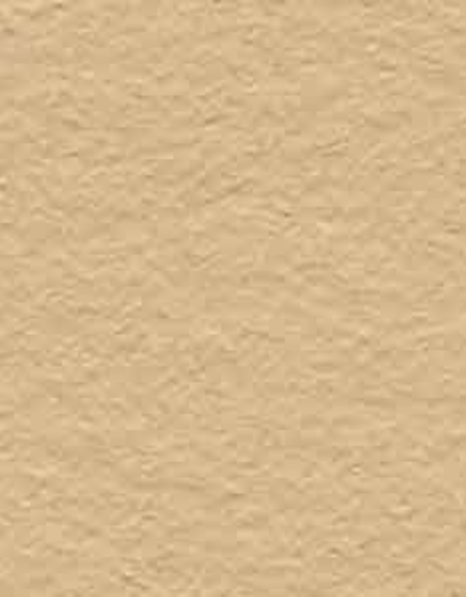 Clay Paint Color Group 4 3 4 Fluid Ounces Eco Carmel