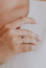 Favor Jewelry Lapis Micro Dot Ring
