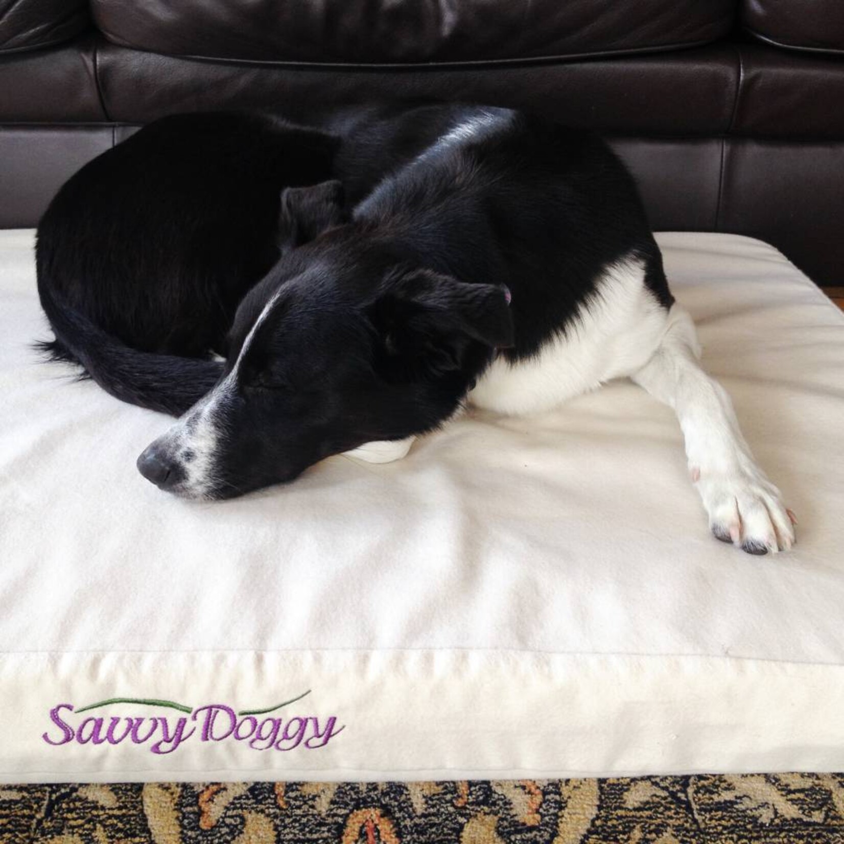 Savvy Dog Bed