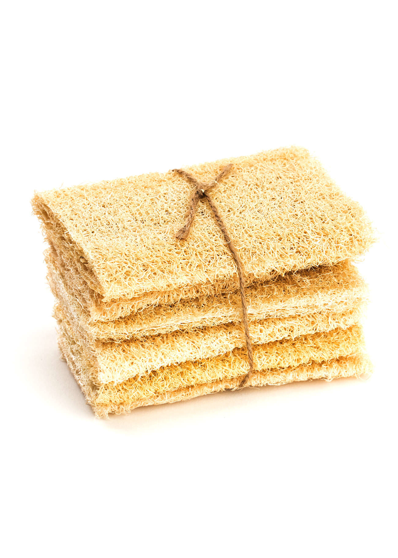 Brush with Bamboo Compostable Loofah Scrubber- Pack of 6