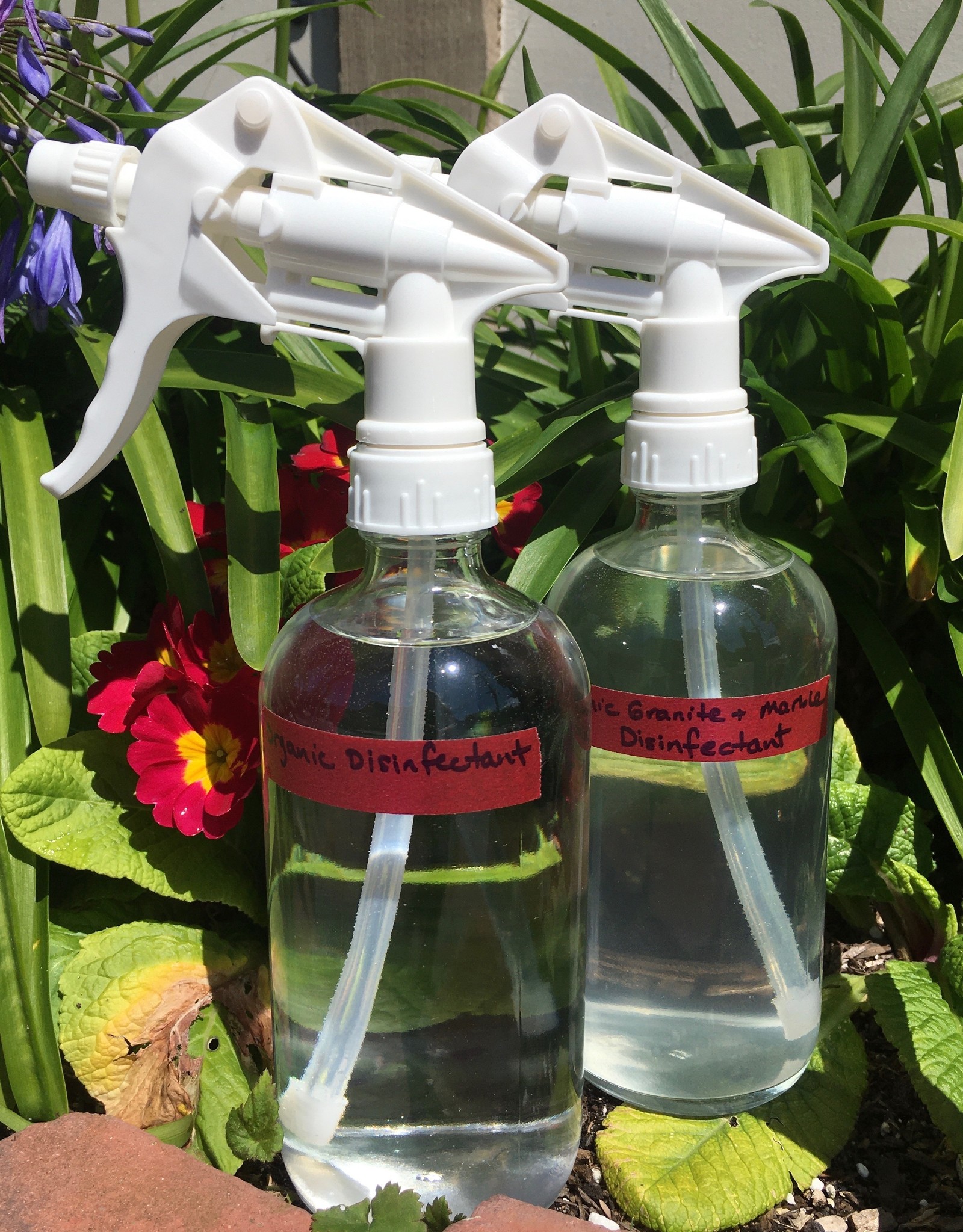 16oz Organic Disinfectant Solution Eco Carmel