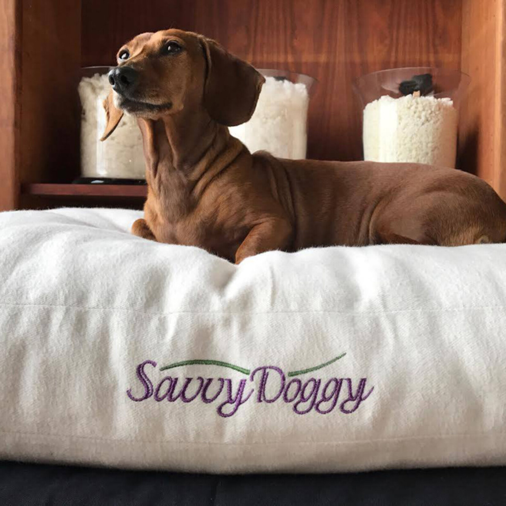Savvy Dog Bed