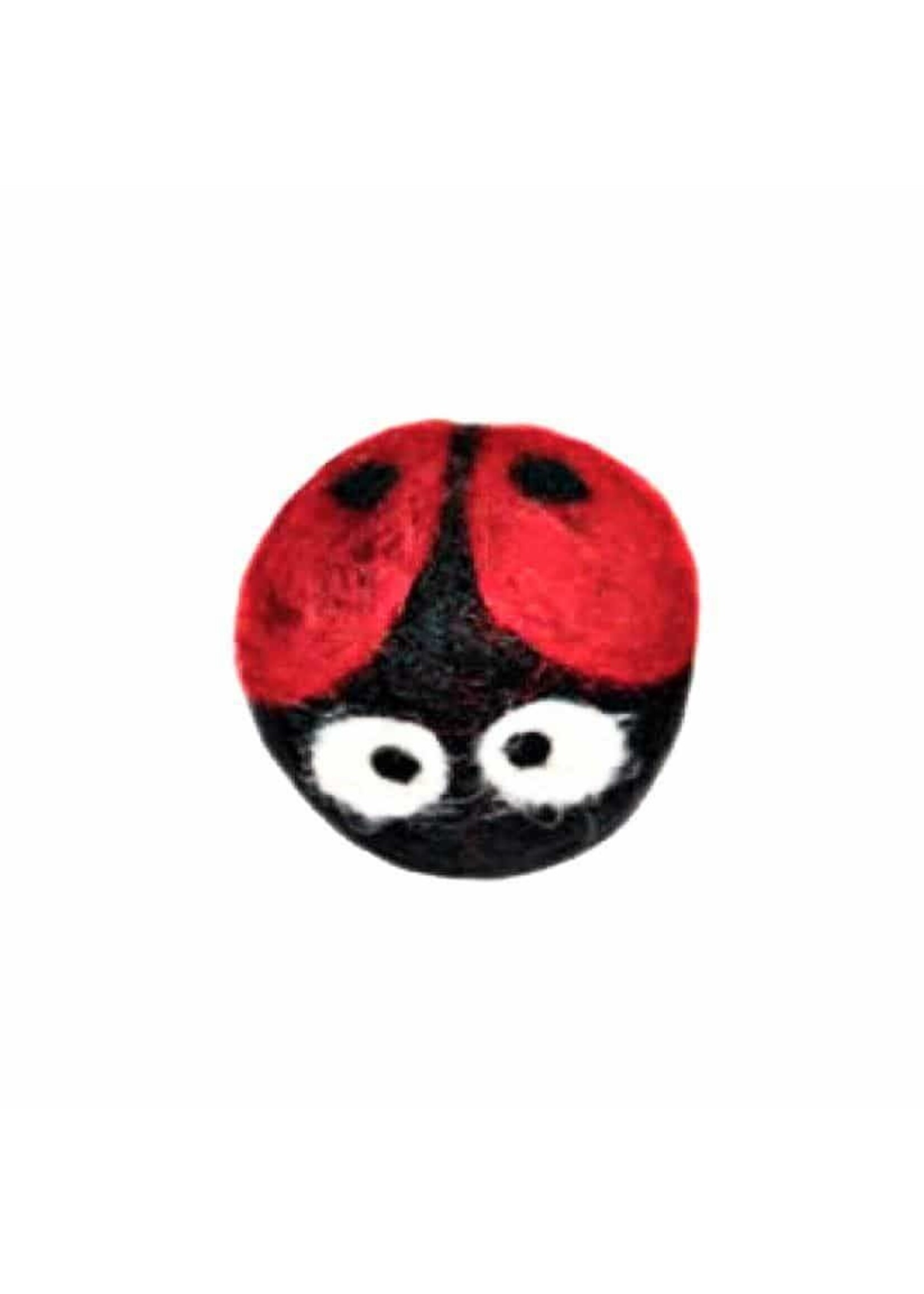 Friendsheep Wool Eco Wool Kitty Ladybug Toy