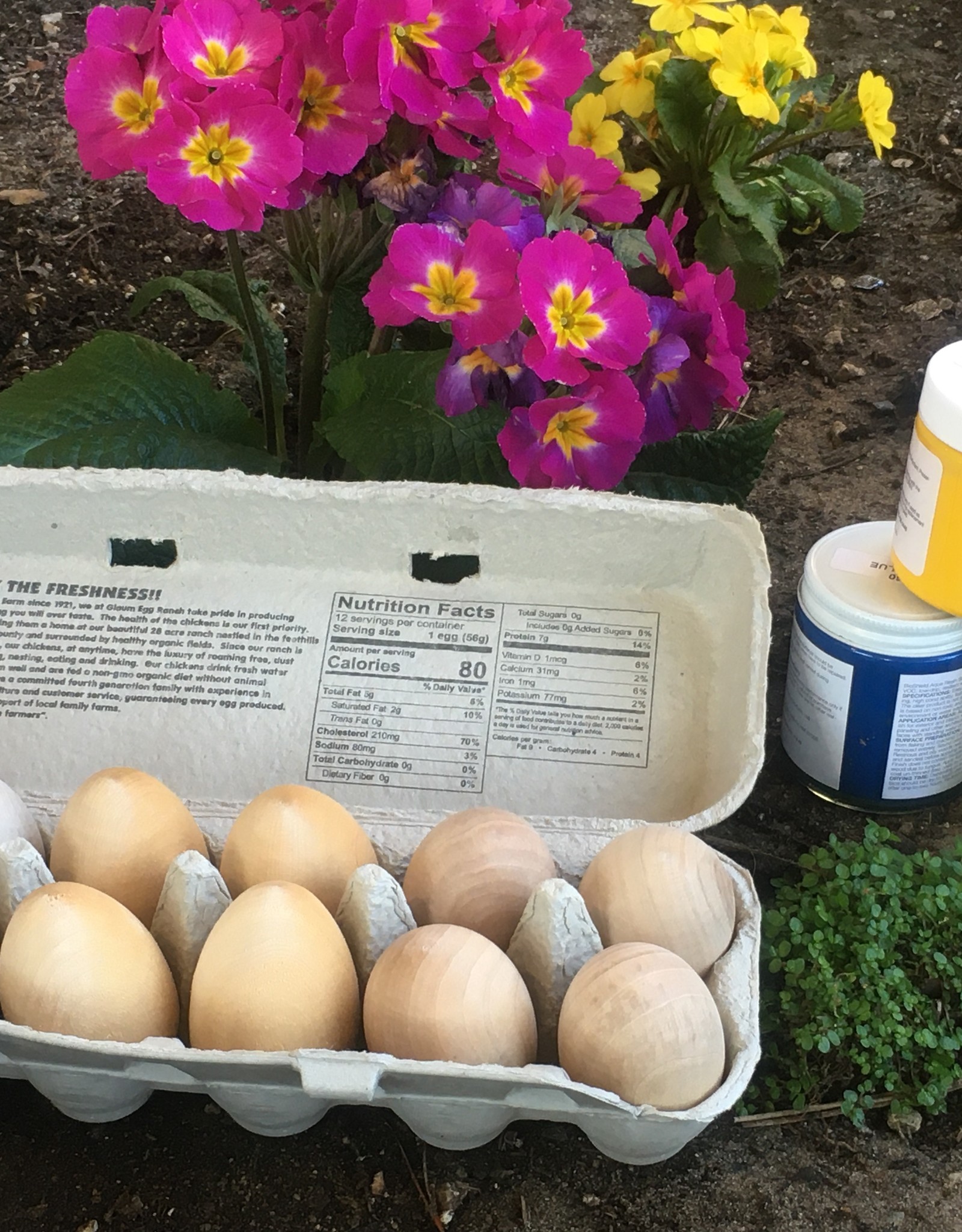 Wooden Egg Staining Kit - Set of 12 Eggs