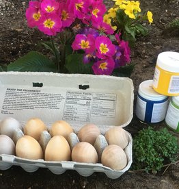 Wooden Egg Staining Kit