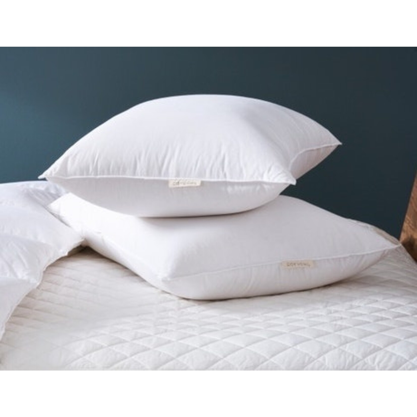 Humane Down Pillow Standard