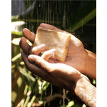 Iron Lion Soap Deep Earth Soap: Lemongrass - Cedar