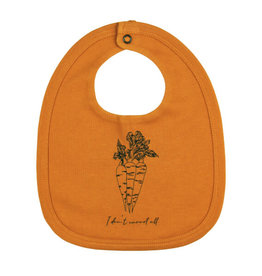 L'oved Baby Fruits & Veggies Pun Bibs