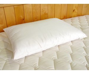 The Zen Pillow Lab - Contour Sleep Pillow