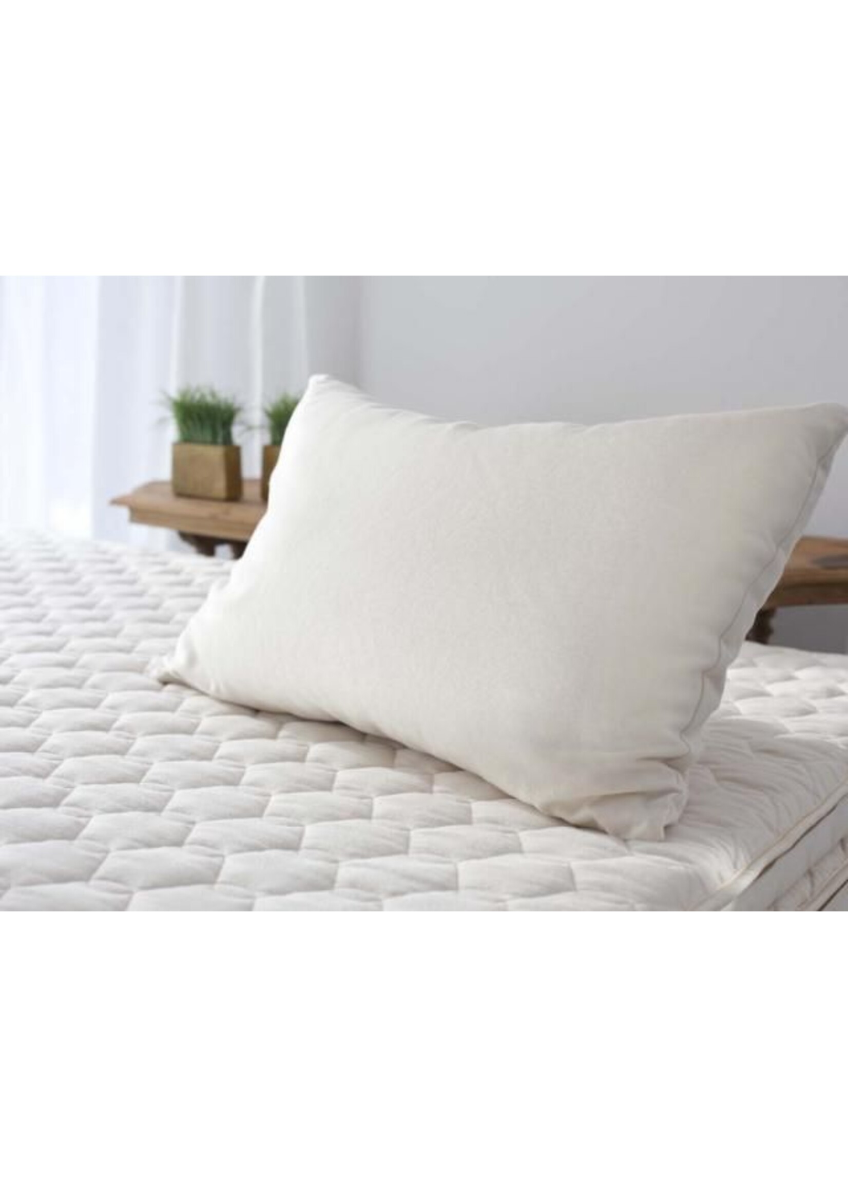 Shredded Natural Latex Pillow