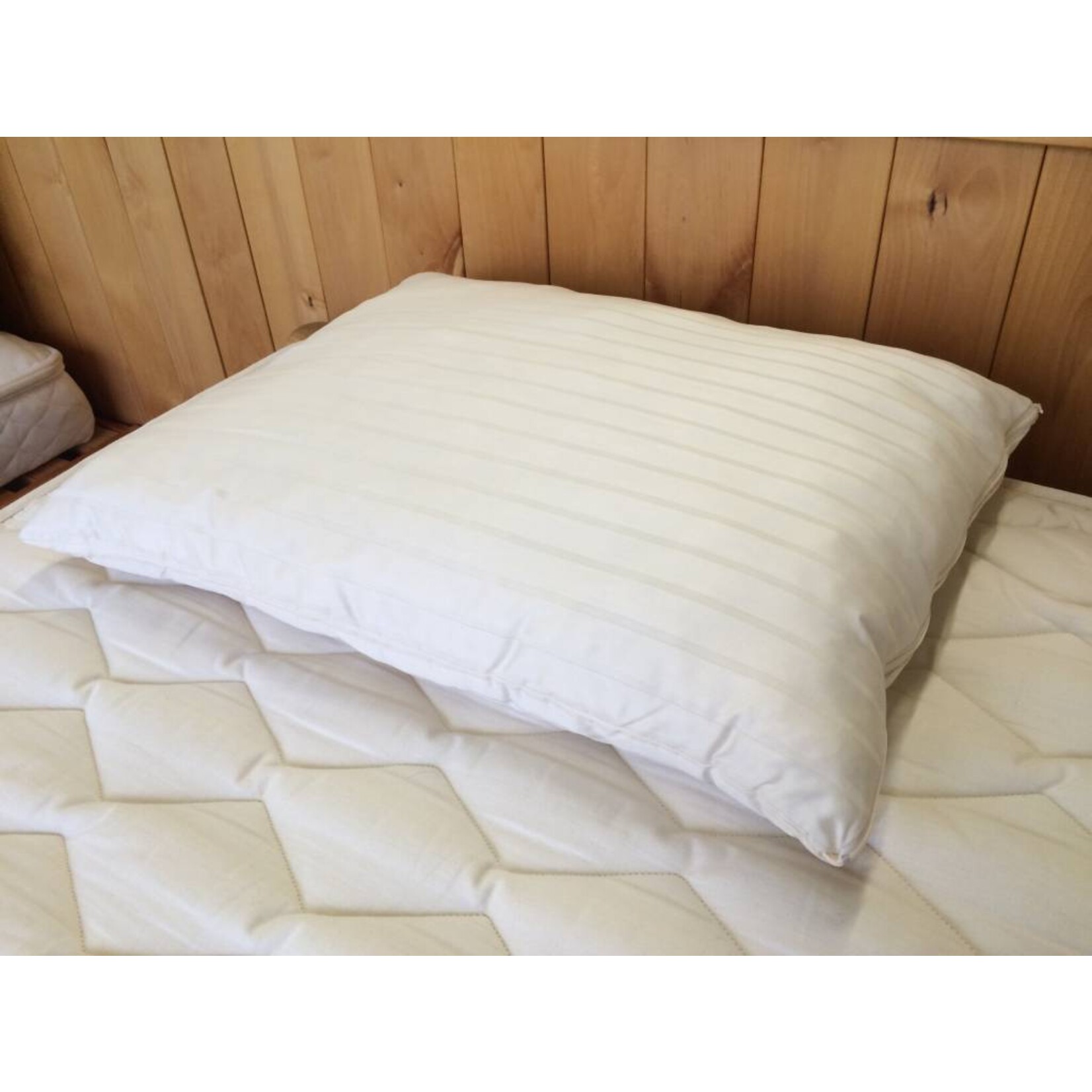 Organic Woolly "Down" Pillow