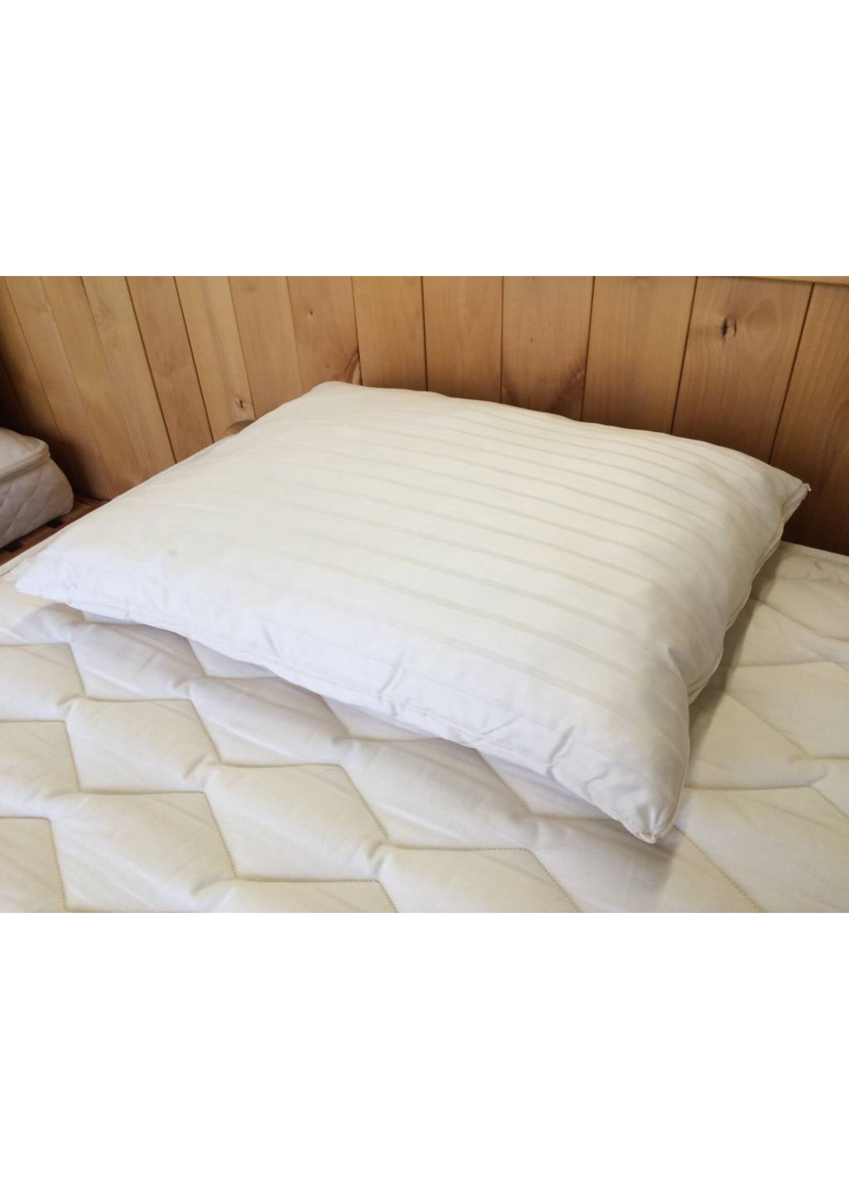 Organic Woolly "Down" Pillow