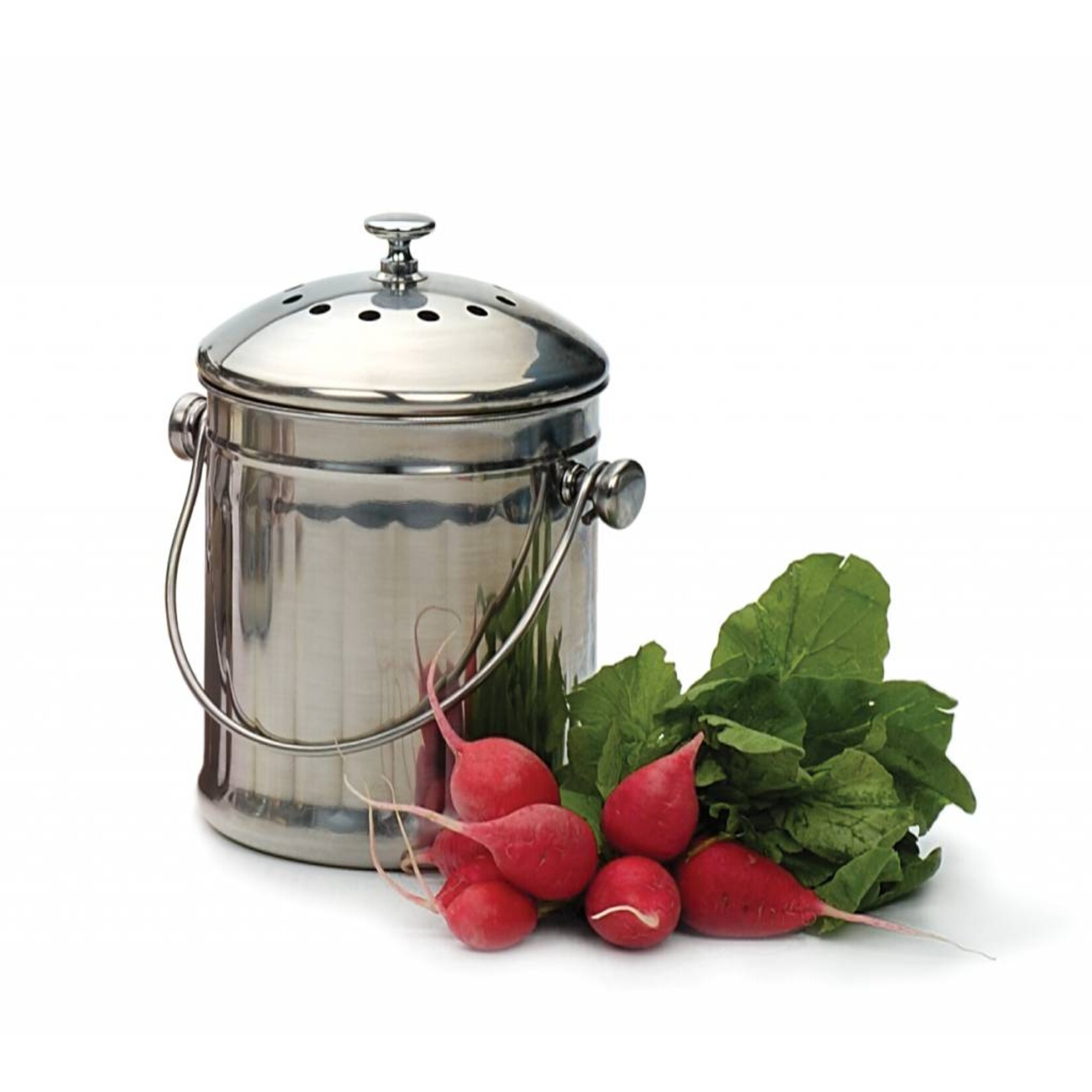 Stainless Steel Compost Pail