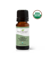 Plant Therapy Organic Eucalyptus Essential Oil 10ml