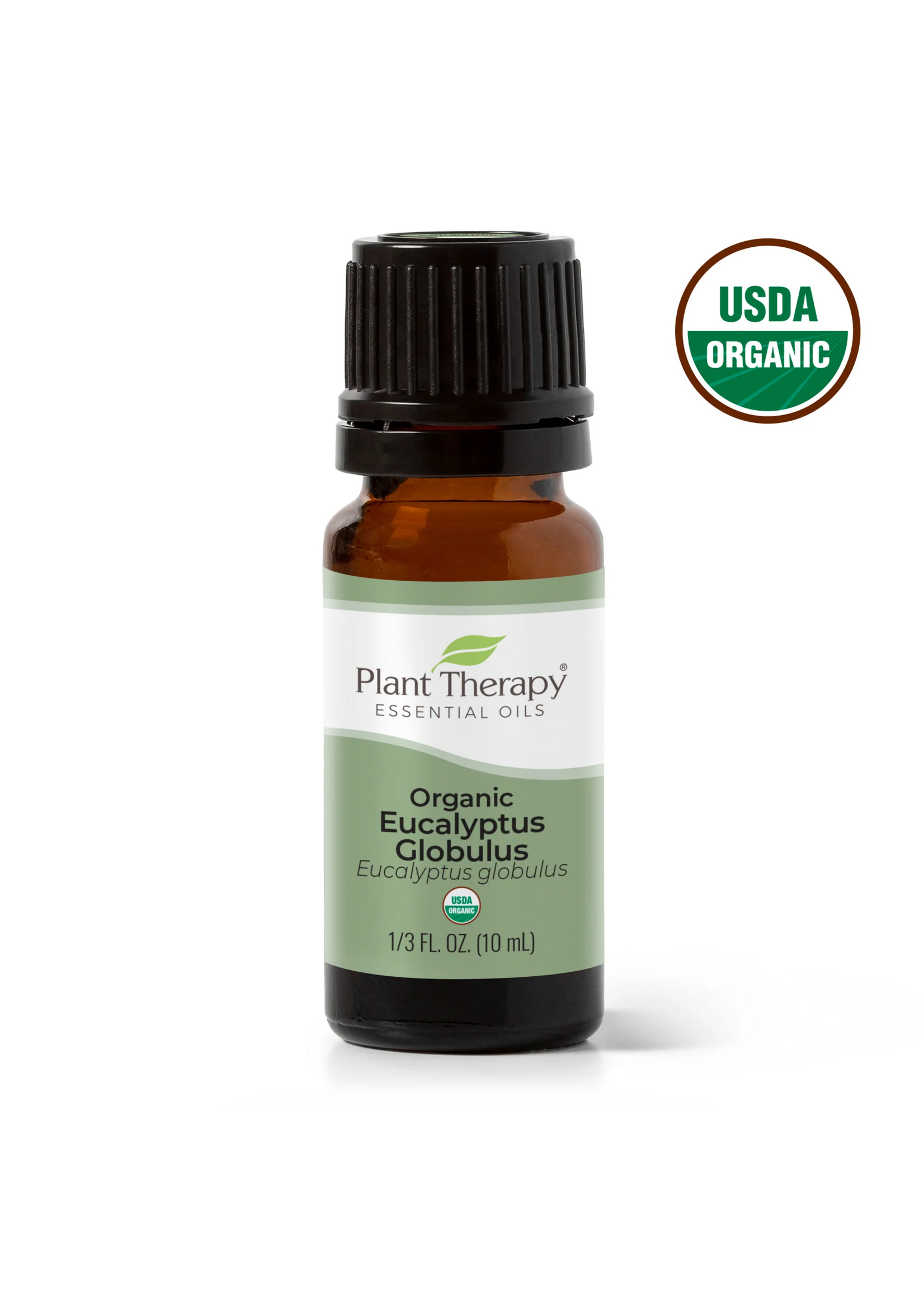 Plant Therapy Organic Eucalyptus Essential Oil 10ml