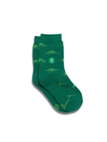 Conscious Step Children’s Socks That Give Books (Green Dinosaurs)