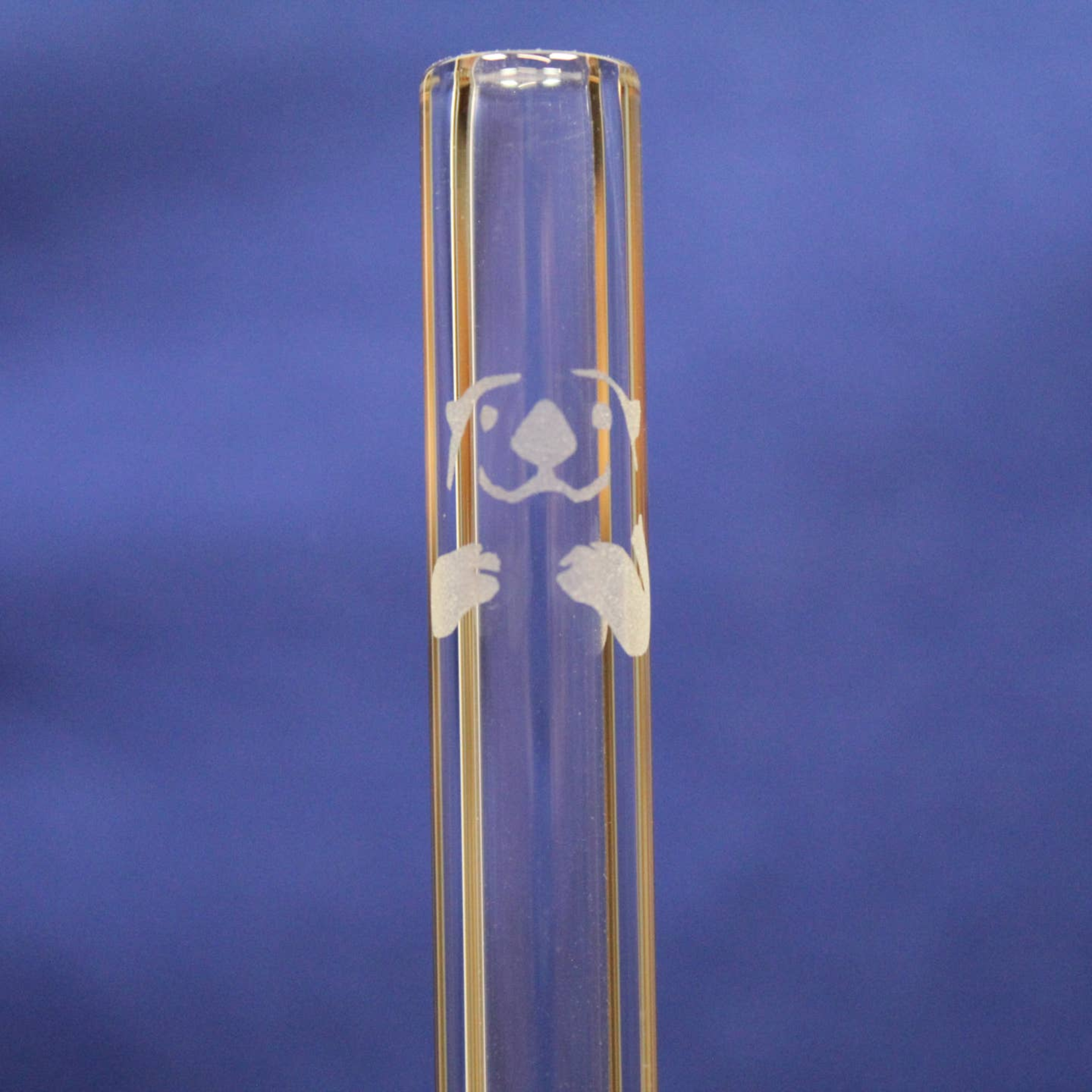 DrinkingStraws 8" Glass Drinking Straw - Etched Otter - Standard