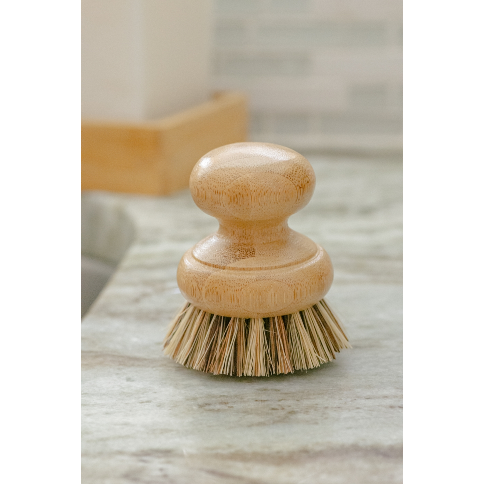No Tox Life Casa Agave Pot Brush