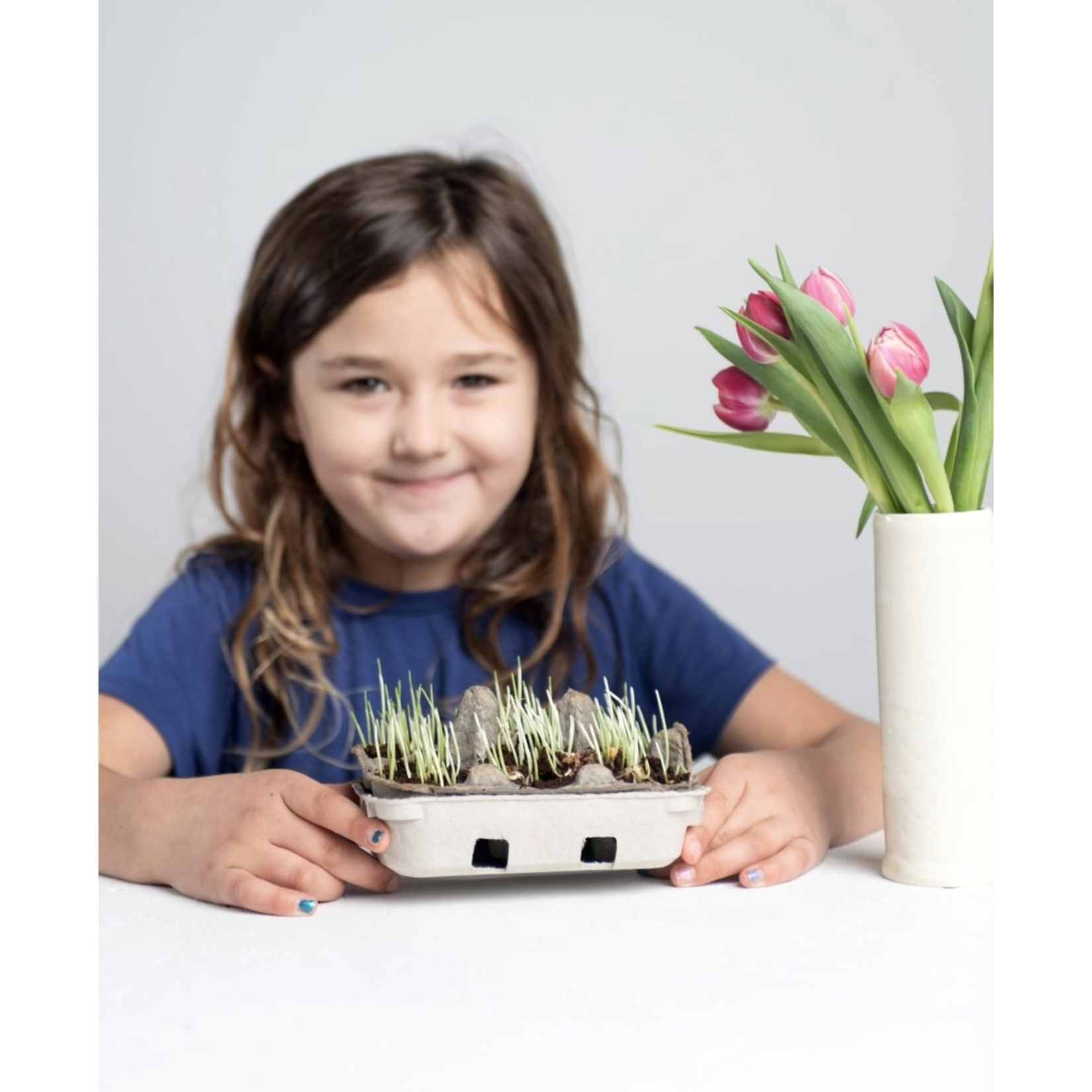 Egg Coloring Kit in Egg Carton