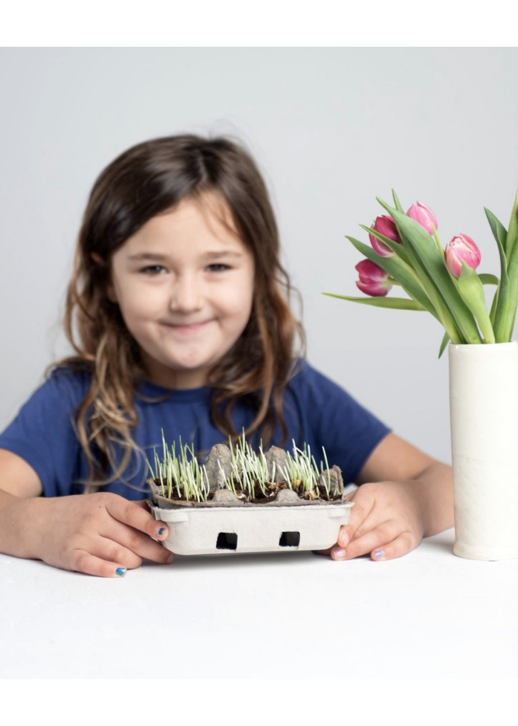 Egg Coloring Kit in Egg Carton