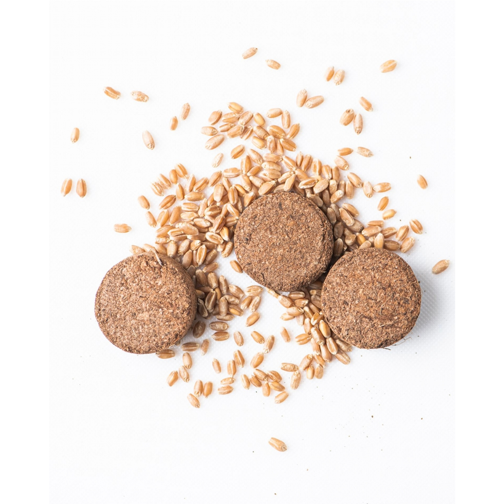 Egg Coloring Kit in Egg Carton