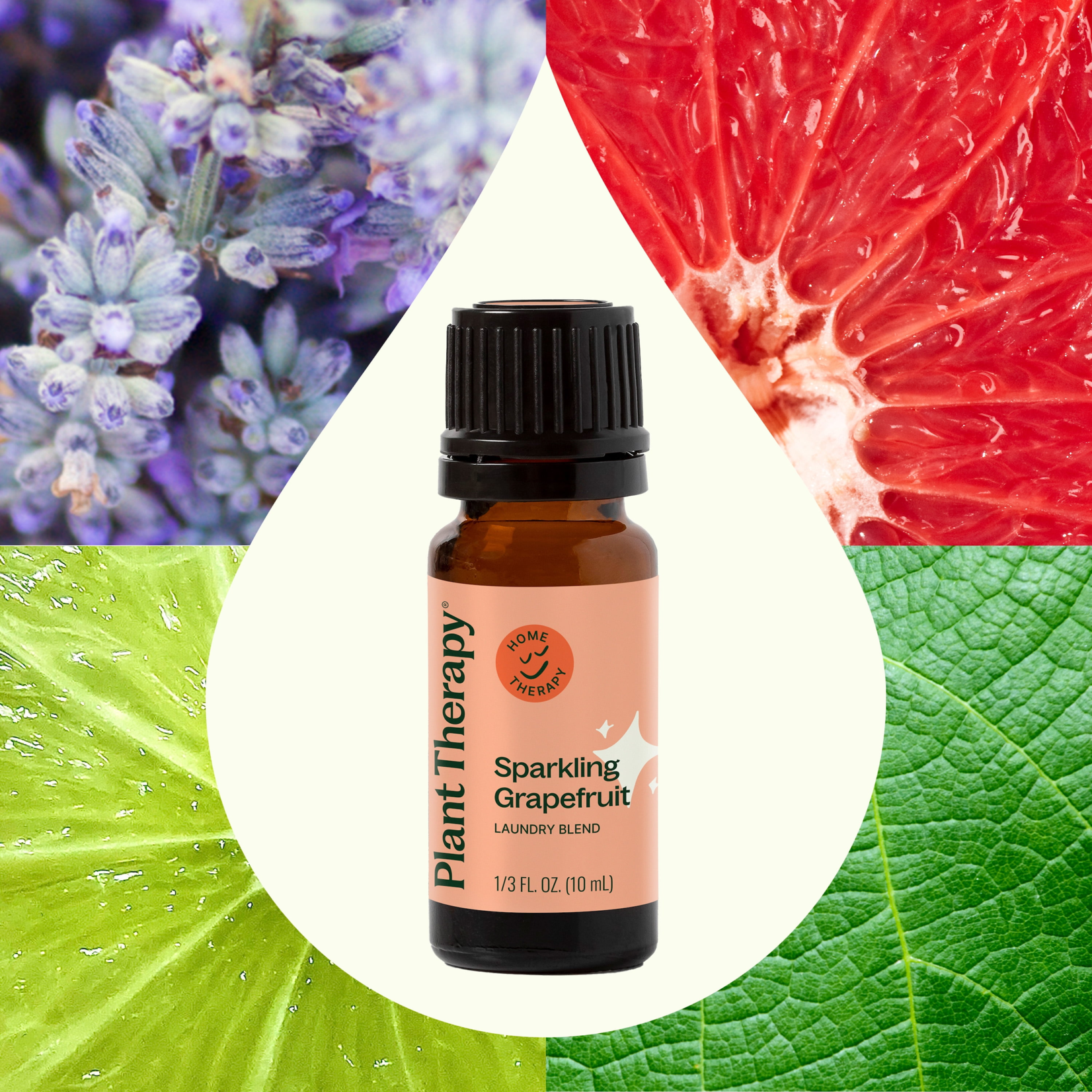Plant Therapy Sparkling Grapefruit Laundry Essential Oil Blend - 10 mL