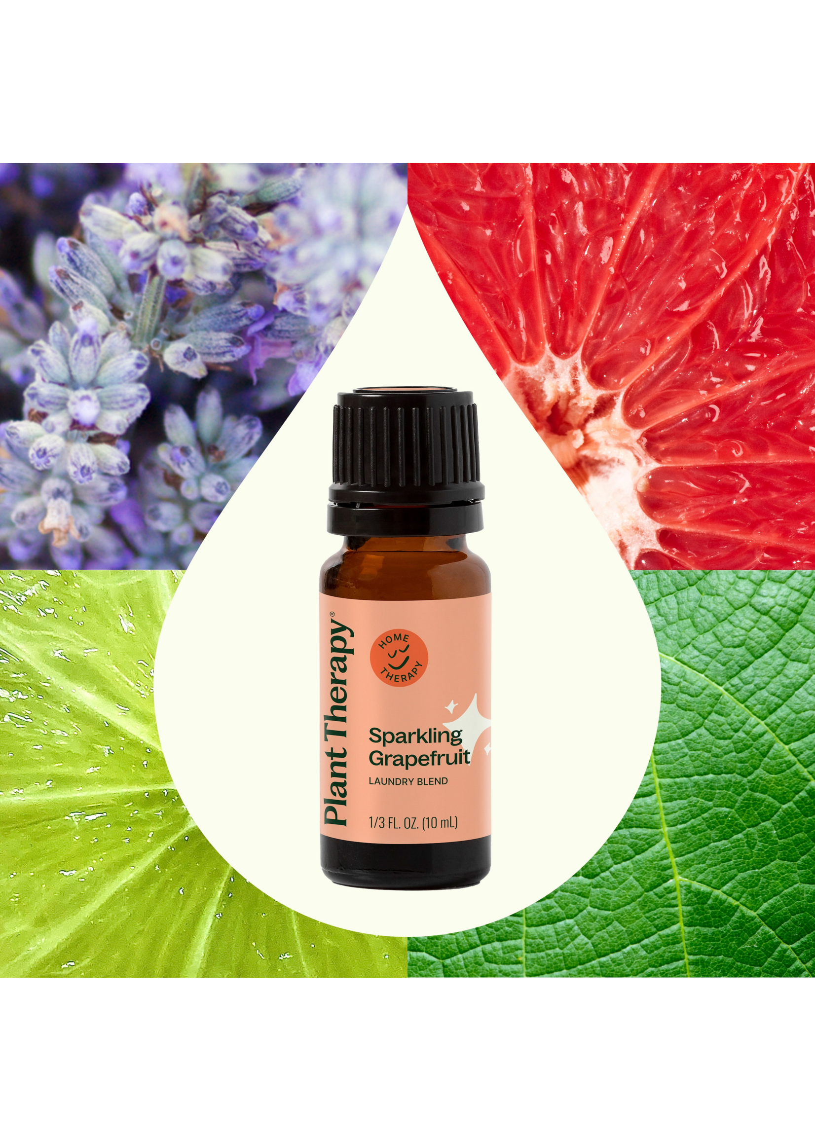 Plant Therapy Sparkling Grapefruit Laundry Essential Oil Blend - 10 mL