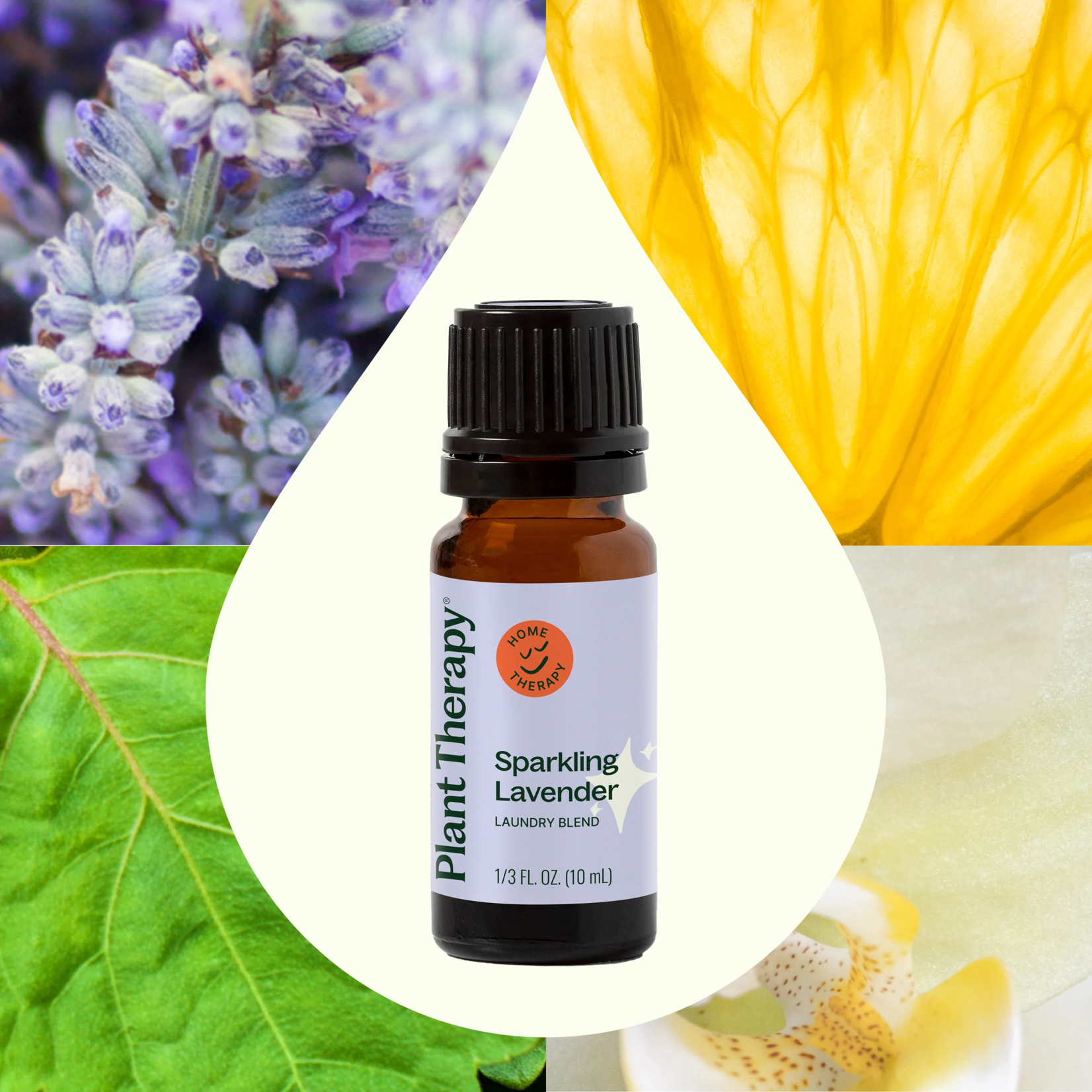 Plant Therapy Sparkling Lavender Laundry Essential Oil Blend - 10 mL