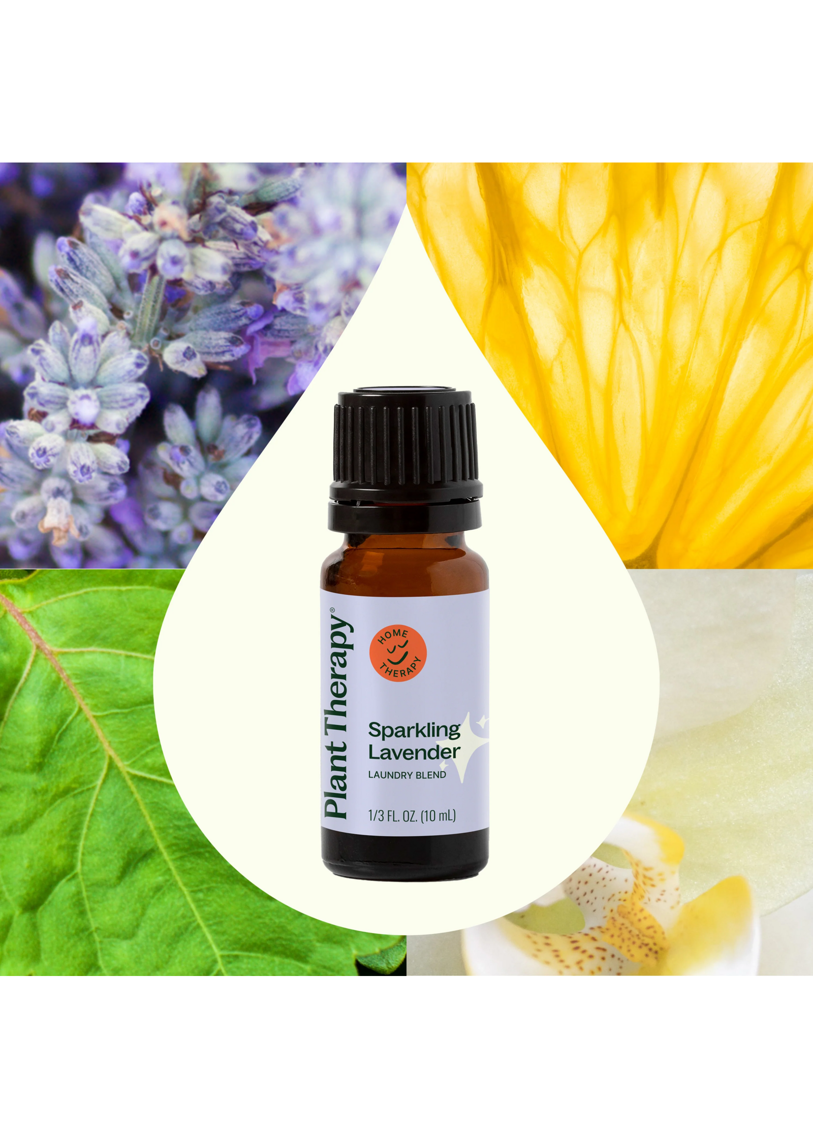 Plant Therapy Sparkling Lavender Laundry Essential Oil Blend - 10 mL